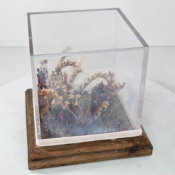 Decorative Glass Display Cube Hagen Renaker Pink Bunny Figurine Egg Dried Plants - Picture 3 of 9